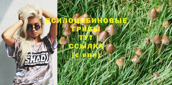 кристаллы Алексин