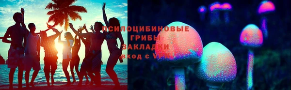стаф Алексеевка
